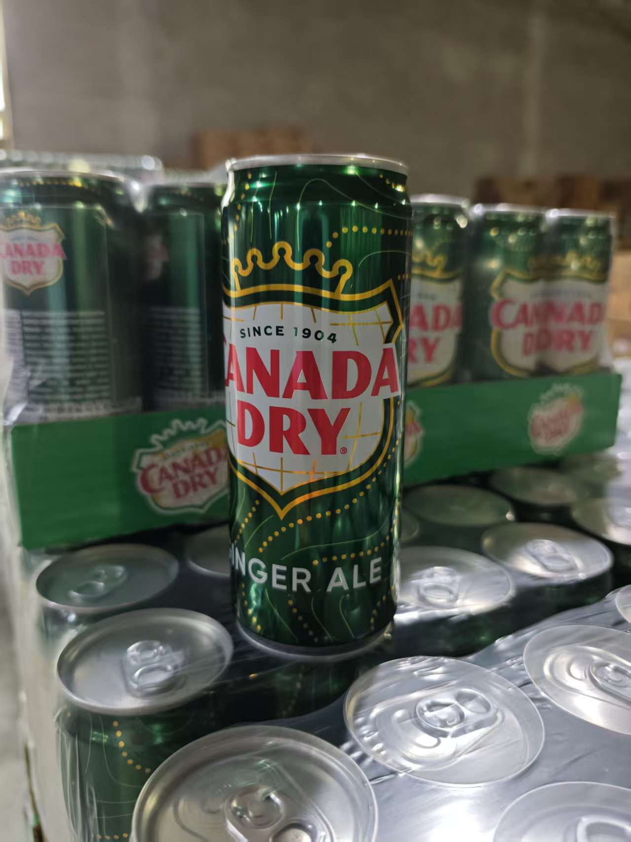 CANADA DRY牌姜味可乐型碳酸饮料 24*330ml
